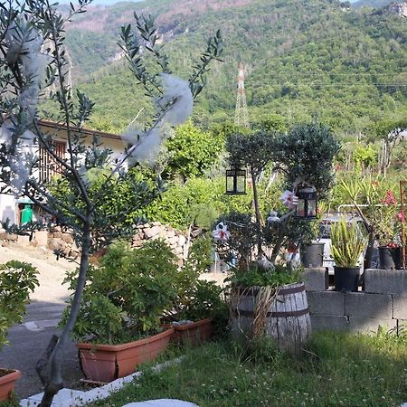 Annabella'S Country House Sant'Antonio Abate Exterior photo