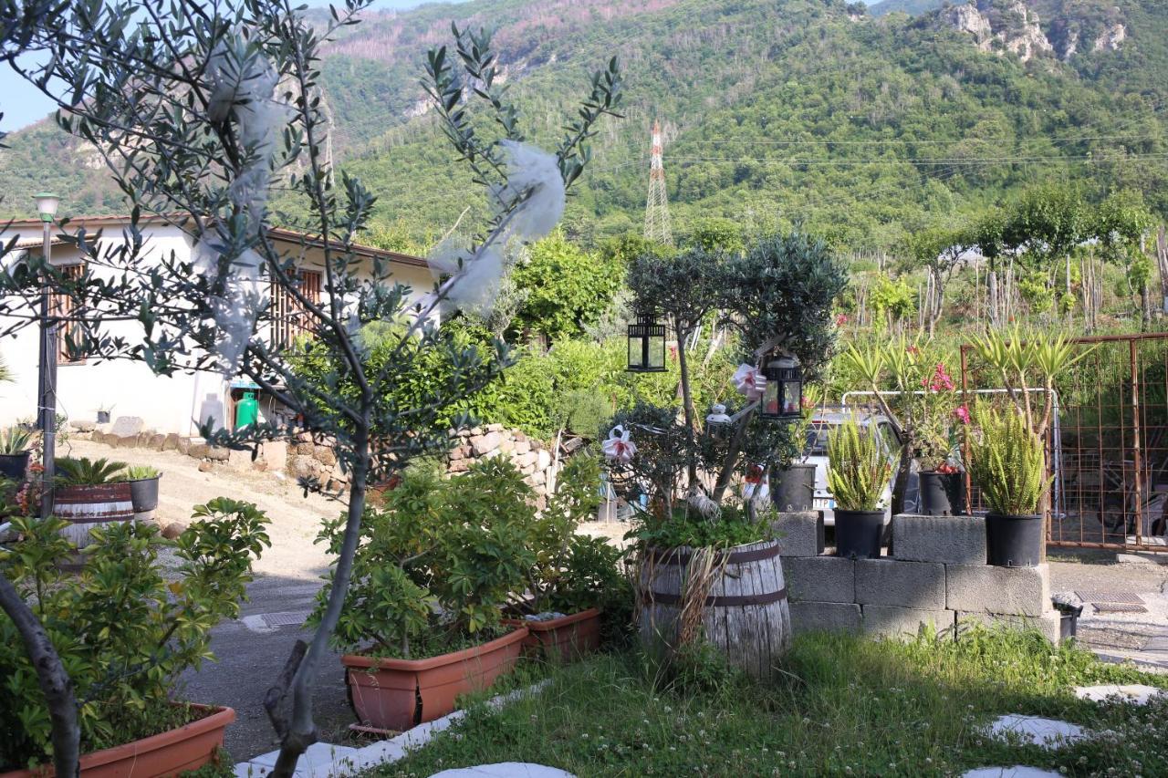 Annabella'S Country House Sant'Antonio Abate Exterior photo